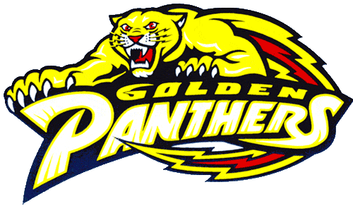 FIU Panthers 1994-2000 Primary Logo iron on transfers for T-shirts